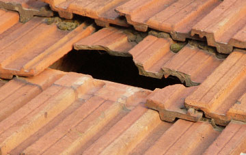 roof repair Manor Bourne, Devon